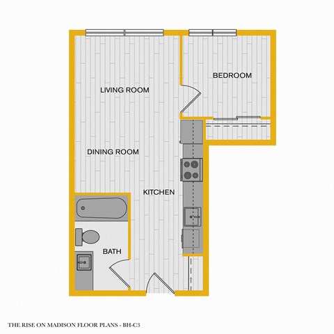 The Rise on Madison Apartments 2D Floorplan - 1 bed 1 bath I 60